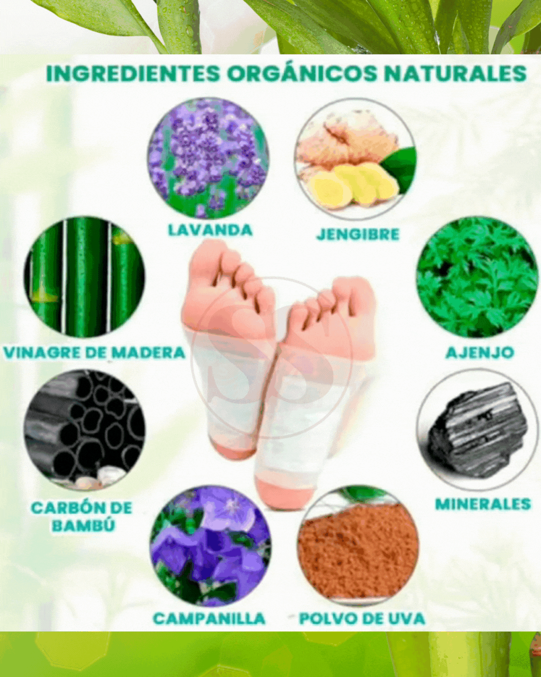 Parches para pies KINOKI Balance™