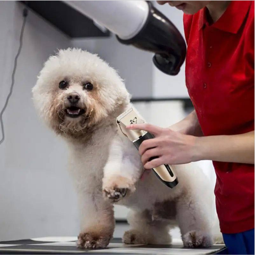 Cortadora de Pelo para Mascotas Style Pro™